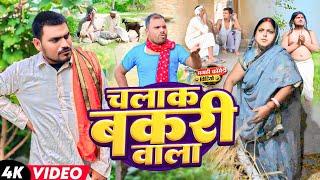 चलाक बकरी बाला ||  CHALAK BAKRI BALA || #udaydoctorcomedy ‎@Gudduchoraofficial #udaydoctor