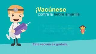 Recomendaciones preventivas frente a la fiebre amarilla