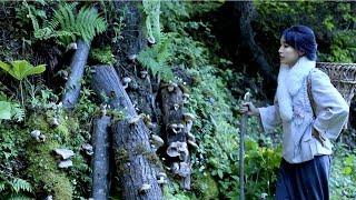 I planted shiitake mushrooms in the mountain! | Liziqi Channel