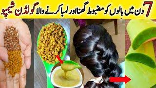 Flaxseeds Shampoo For Long Strong Thick Silky Shiny Smooth Hair | Golden Shampoo | Glam Tips By Amna