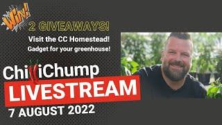 ChilliChump Livestream - AUGUST