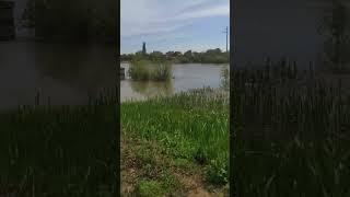 Где еще можно так рыбачить? Рыбаки повсюду. Вода пришла,  рыбалка пошла. Скоро мошка.