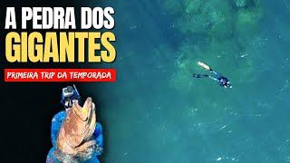 Hunter's Pesca Sub - Trip Bahia 25 - Between Monsters and Giants