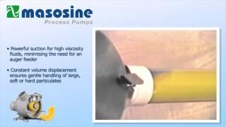 MasoSine Process Pumps