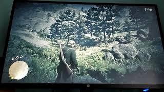 Как я убивал легендарного медведя в RDR 2