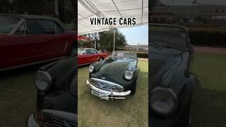 Vintage cars collection  #vintage #car #vintagecars #desi #viral #short #jaipur #rollsroyce