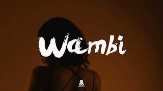 Omah Lay x Burna Boy x Tems x Afrobeat x Afroswing Type beat 2024 - "WAMBI"