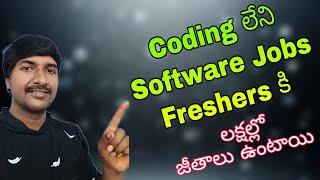 Non-Coding IT Jobs for Freshers in Telugu | @LuckyTechzone