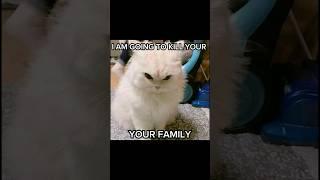 I am going to kill your family [Cat meme] #shorts #trend #meme  #capcut