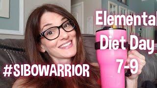 Elemental Diet SIBO Diary Day 7-9 | Lisa Monoson