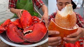 Fisherman Eat Giant Lobster Mukbang | Chinese Seafood Mukbang Show