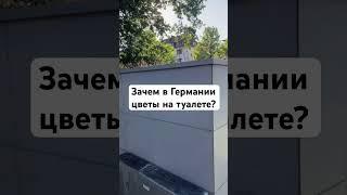 Зачем в Германии цветы на туалете и автобусных остановках ?