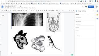 How to invert image on google docs