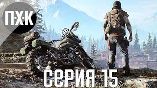 Days Gone. Прохождение 15. Сложность "Выживание 2 / Survival 2".