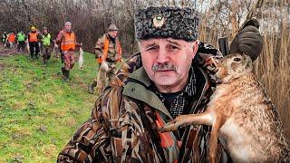 Amazing hare and pheasant hunting. You have to see this!