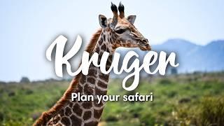 KRUGER NATIONAL PARK, SOUTH AFRICA (2024) | How To Plan A Self-Drive Safari In Kruger National Park
