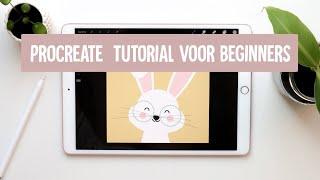 Procreate Tips & Tricks voor beginners | Tutorial | Nederlands