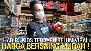 MODAL JUJUR ! BARU MAS INI BERUSAHA YANG TERBAIK UNTUK KICAU MANIA DI PASAR BURUNG PRAMUKA