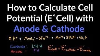 How to Calculate Standard Cell Potential and Voltage using E cell = E cathode - E anode Examples