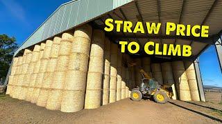 Will The Straw Price Reach Record Highs?