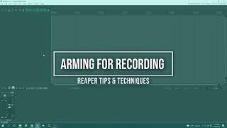 How do I record with my microphone in Reaper