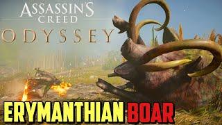 How to Defeat Erymanthian Boar in Assassin’s Creed Odyssey