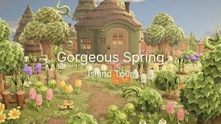 This Colorful Spring Island is GORGEOUS ~ Animal Crossing New Horizons