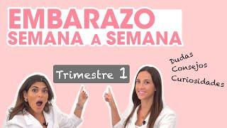 Dudas, consejos y curiosidades del EMBARAZO: ¡primer trimestre! | Mifarma Farmacia