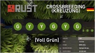 Rust Crossbreeding (Kreuzung) Voll Grüne Klones erschaffen [Tutorial Deutsch]