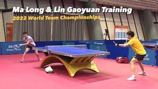 Ma Long & Lin Gaoyuan Training at Chengdu 10 | 2022 World Team Championships