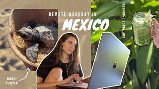 Day in the life of a software engineer working remotely from Mexico  CoWorking + sea turtle release