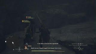 Dragon's Dogma 2 Griffon Nest