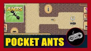 Pocket Ants: Colony Simulator Gameplay Walkthrough (Android) | First Impression | No Commentary