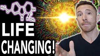 My INCREDIBLE Ayahuasca Experience! (Life Changing)