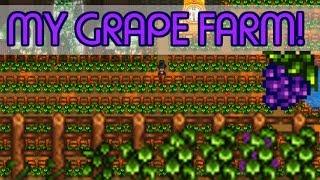 The Biggest Grape Farm EVER! - *VINEYARD!* - Stardew Valley Farm Project