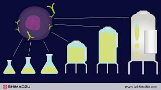 BIO PHARMA Total Lab