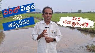 వరిలో విత్తన శుద్ధి తప్పనిసరి|seed treatment must in paddy|karshaka Nestham|agriculture tips