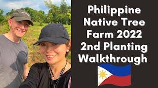 Native Tree Plantation Walkthrough. Mangkono, Kamagong, Malabayabas, Eucalyptus deglupta and more