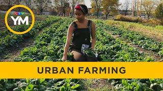 How an urban farmer is changing the agriculture industry | Your Morning