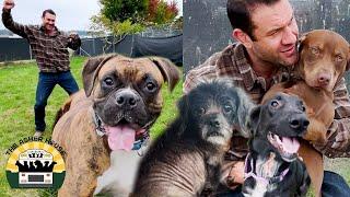 Rescuing 9 adorable dogs from the crowded shelter | The Asher House