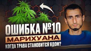 ОШИБКА №10 - ВСЯ ПРАВДА О МАРИХУАНЕ. Что скрывают от вас и чего НЕ ЗНАЕТЕ о ее воздействии на мозг