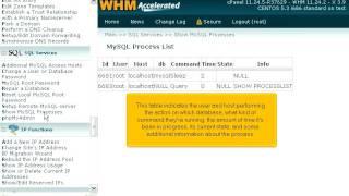 How to see details in WHM about the processes currently in use by MySQL