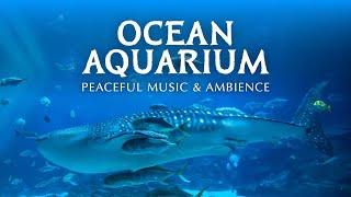  Ocean Aquarium | Underwater Ambience with Peaceful Music for Study, Sleep, and Relaxing