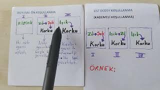 Duyusal Ön Koşullama ve 2.Dereceden(Üst) Düzey Koşulama #kpss #eğitimbilimleri #öğrenmepsikolojisi