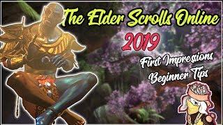 The Elder Scrolls Online (ESO) in 2019 | First Impressions & Beginner Tips [REVIEW]