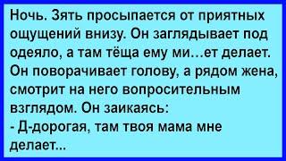 Зять проснулся ночью от приятных ощущений... Сборник! Юмор! Позитив!