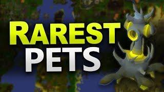 Hardest Pets To Get in OSRS (Rarest Pets)