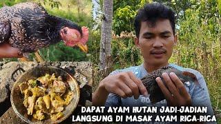 Dapat Ayam Hutan Jadi-Jadian sudah di dor Kepalanya Masi Hidup‼️Langsung Masak Ayam Rica-Rica