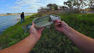 Pesca ao Achigã de Margem - Alqueva 2024