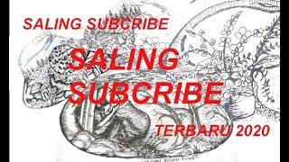 KERJASAMA  SALING SUBSCRIBE